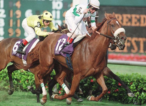 Soaring Softly Passes Away