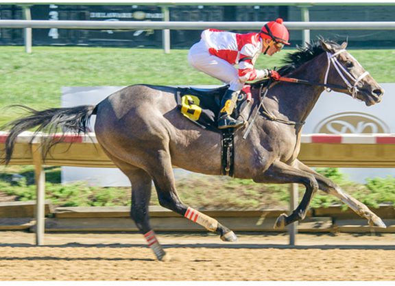 Well-Related Tapit Filly a ‘Rising Star’ at Delaware