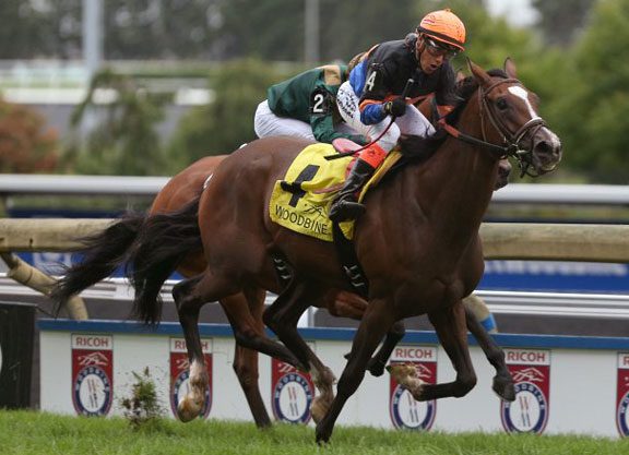 ‘Strutting’ Her Stuff to the Breeders’ Cup