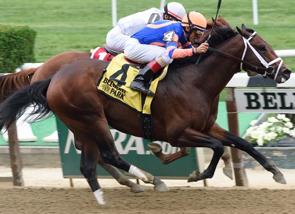 Giant Surprise Colt Continues Winning Ways at Belmont