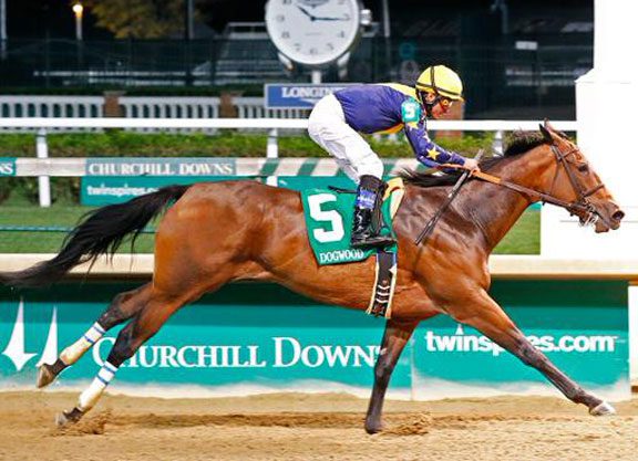 Super Majesty Makes the Grade at Churchill