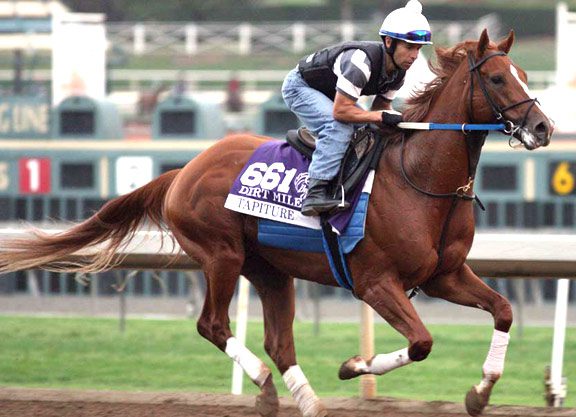 Darby Dan Acquires Breeding Rights to Tapiture