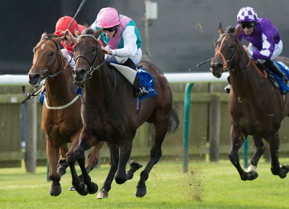 Dubawi’s Time Test On Top In the Joel