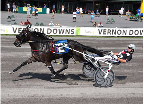 Taylor Made Buys Into Top Standardbred