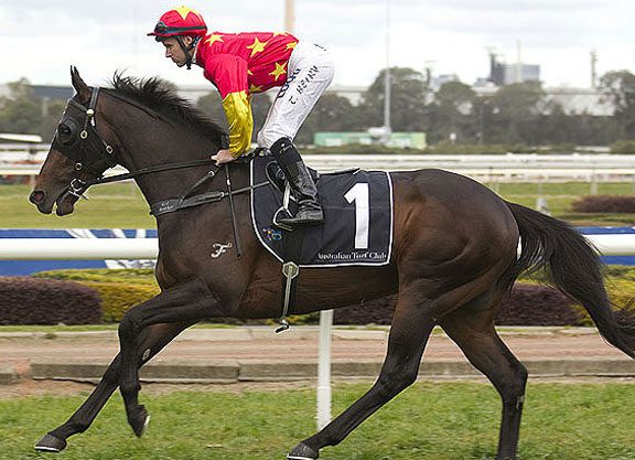 Vancouver To Miss Spring Carnival