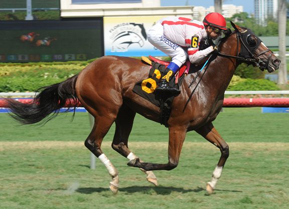 Unbridled’s Song Filly Graduates in Hallandale