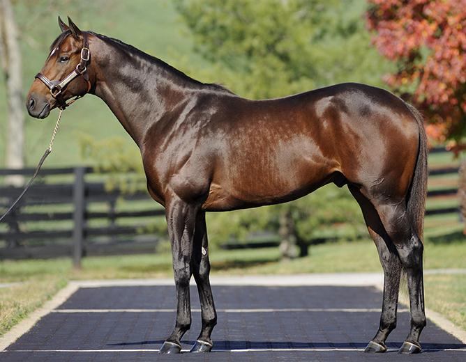 Stars Align for Tuesday’s KEESEP Topper