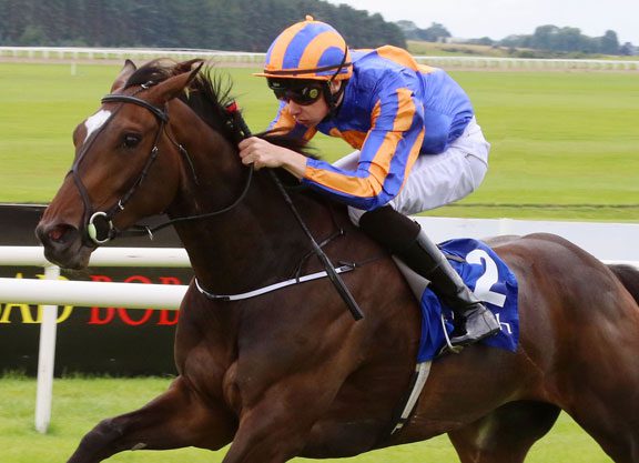 A Ballydoyle Benefit?