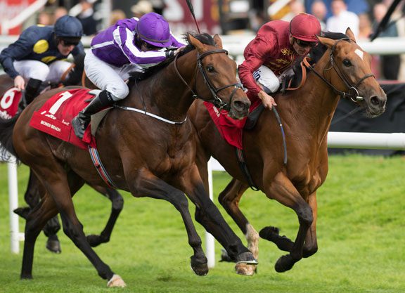 Williams Buys into Coolmore Cup Hopefuls