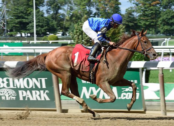 Well-Related Street Cry Filly Scores at Belmont