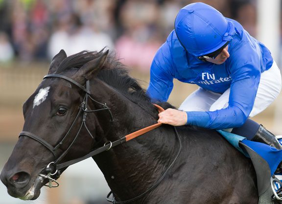 Shamardal’s TDN Rising Star Emotionless Toasts Champagne Rivals