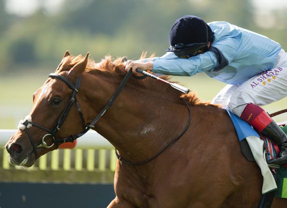 Royal Lodge Victory For Zoffany’s Foundation