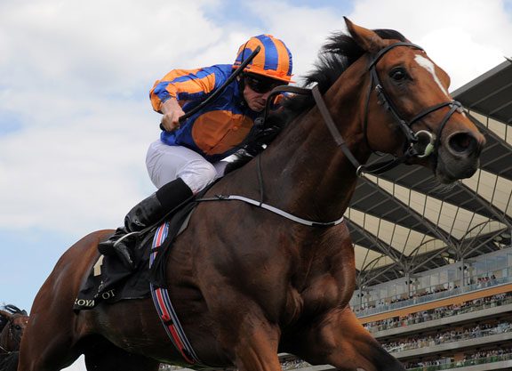 Gleneagles Out Of Irish Champion