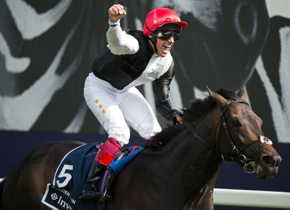 Golden Gallop For Horn