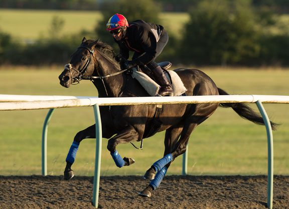 Gosden: Golden Horn in “Good Order”