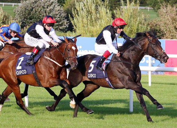 James Willoughby: Golden Horn Irish Champion S. Analysis