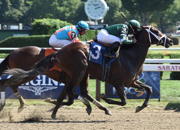 Bernardini Colt Makes His ‘Point’