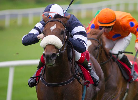 Tatts Ireland Sale Kicks Off Tuesday