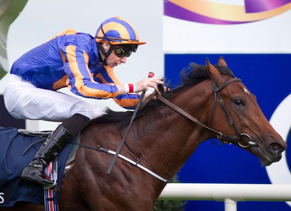 Galileo Colt Takes the Golden Fleece