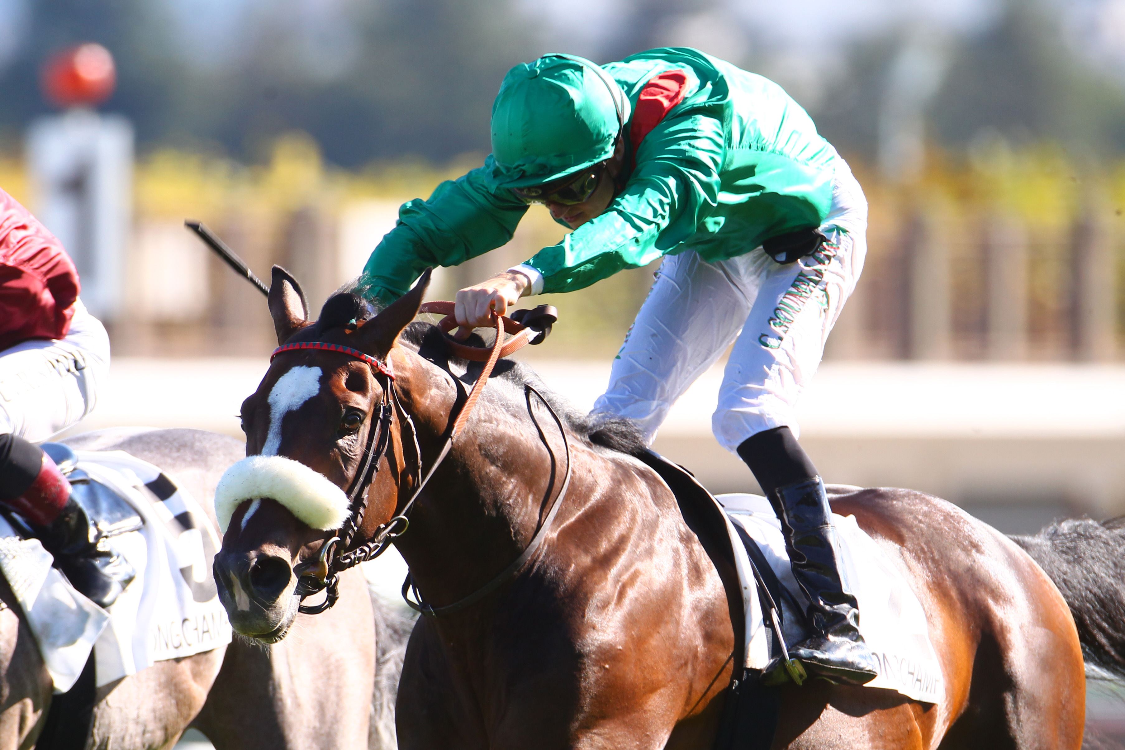 High Chaparral’s Karaktar Takes the Prince d’Orange