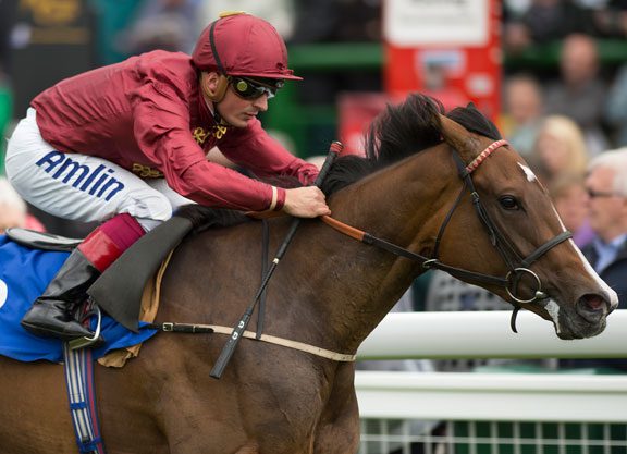 Hellvelyn Filly Impresses In the Dick Poole