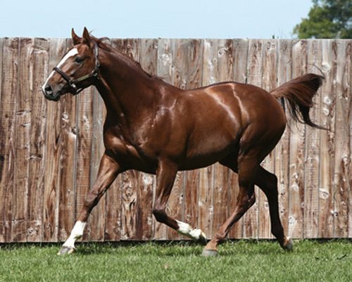 Observations On Today’s European Racing Scene