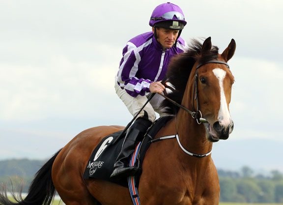 Minding Leads an O’Brien and Galileo One-Two-Three In the Moyglare