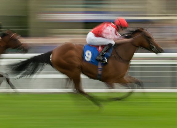 Iffraaj Newcomer One To Note At Salisbury