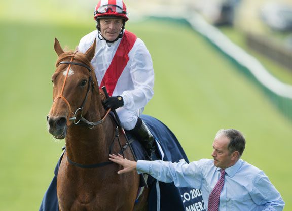 Night Of Thunder To Kildangan