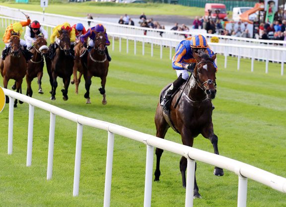 Galileo’s Order of St George Routs Irish Leger Rivals