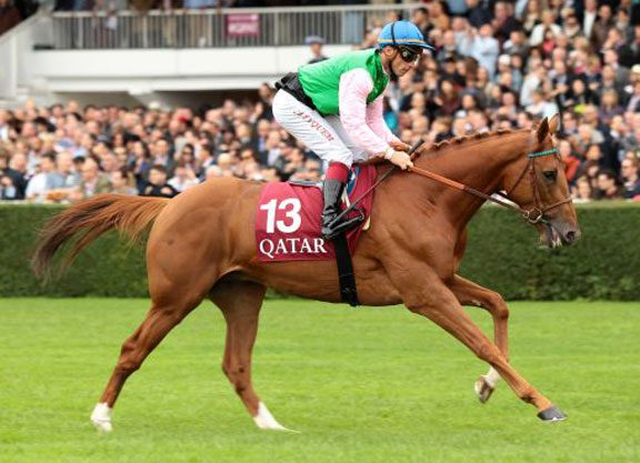 Arc Sale Catalogue Online