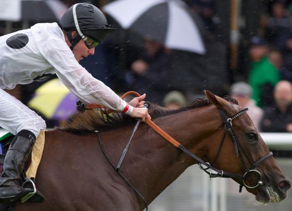 Manduro’s Ribbons On Top In Blandford Clash