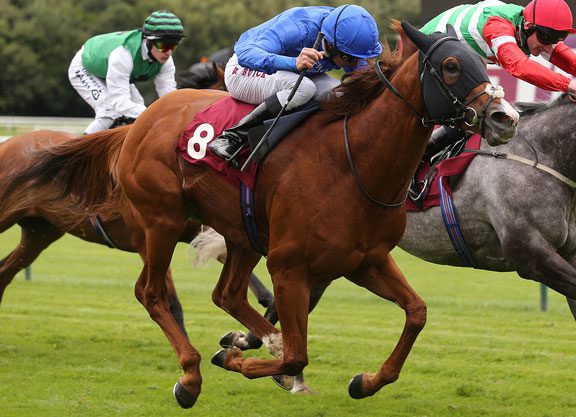 Winning Return For Raven’s Pass’ Richard Pankhurst