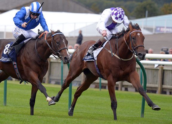 Teofilo’s Sanus Per Aquam Prevails In Gripping Somerville Tattersall