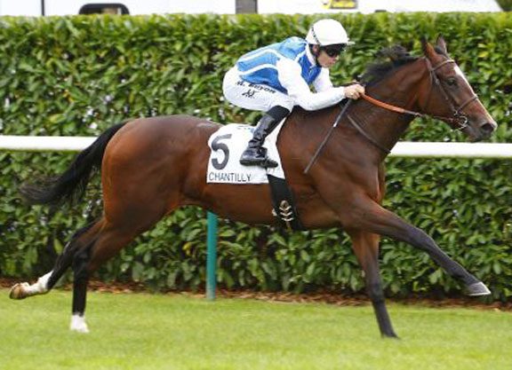 Shamardal Filly Takes the Eclipse