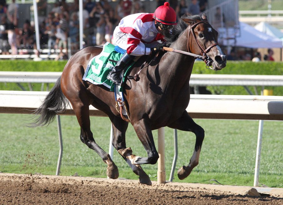 Songbird Soars in the Chandelier