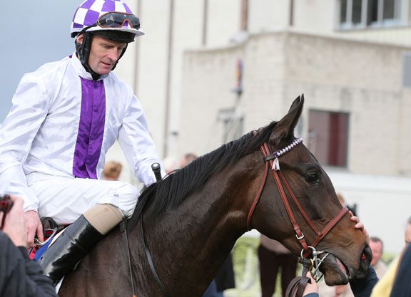 Group Entries Offered By Goffs