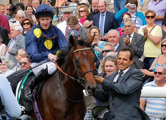 Storm The Stars Done For The Year