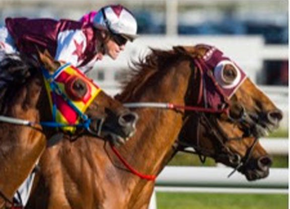 Stratum’s Son Stars In Sir Rupert Clarke