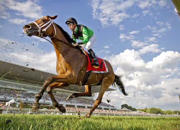 The Pizza Man to Shadwell Mile, Japan Cup