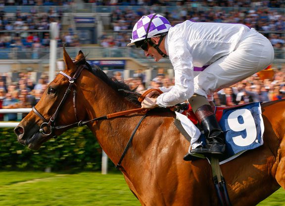 Fastnet Rock’s Turret Rocks Grinds Out May Hill Win