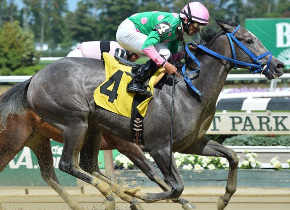 Midshipman Filly Gets the ‘Glory’ in the Belmont Mud