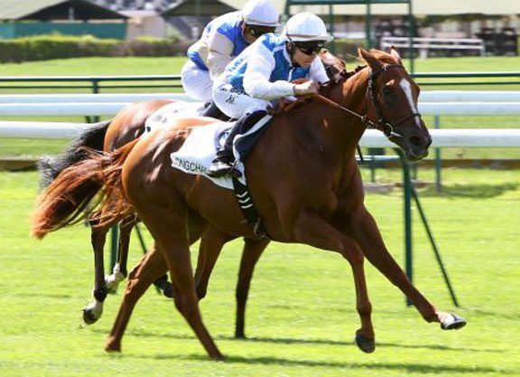 Medicean Filly Continues Streak In the Arenberg