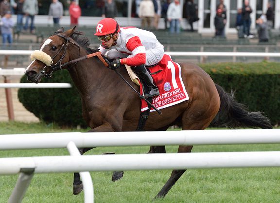 Stephanie’s Kitten Defends Flower Bowl Title