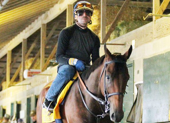 Pharoah Stays Out of the Rain