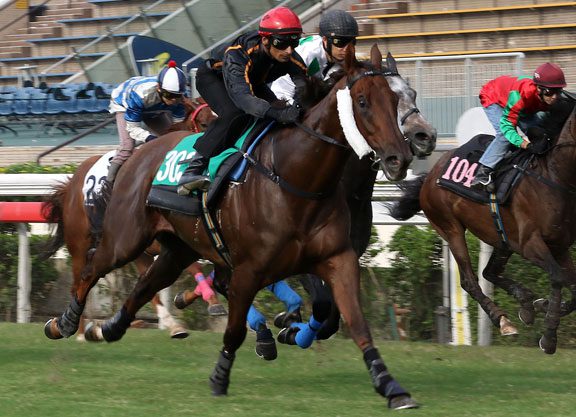 Able Friend Getting Serious