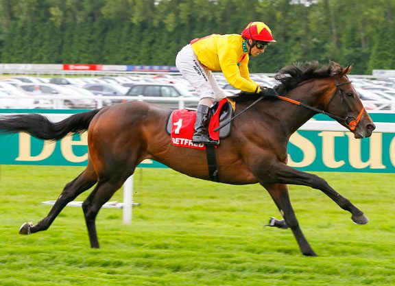 Murphy Up For The Cup