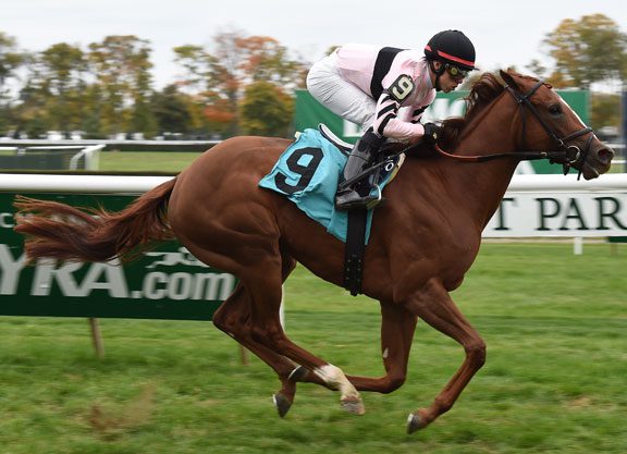 Kantharos Filly Impresses First Time Out at Belmont