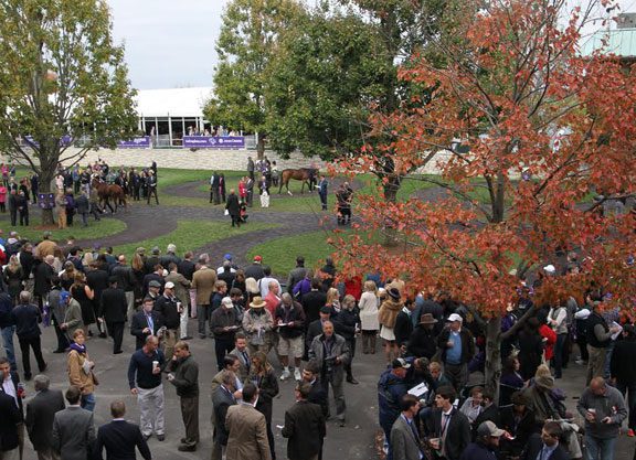 New BC Friday Attendance Mark Set