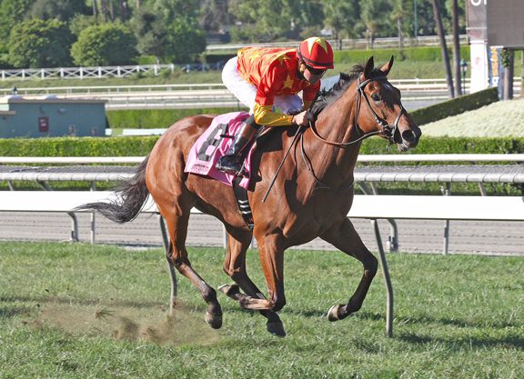 China Horse Club Has First U.S. Winner